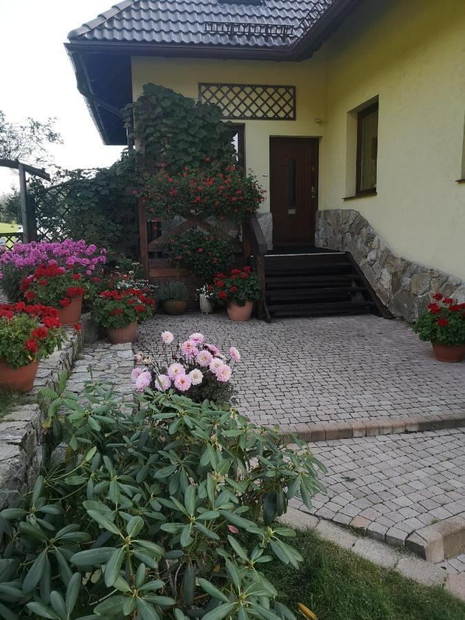 Villa Wichrowe Wzgorze Stronie Śląskie Exterior foto