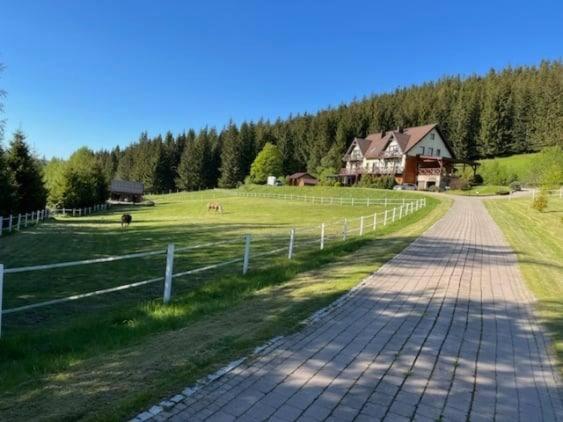 Villa Wichrowe Wzgorze Stronie Śląskie Exterior foto